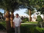 mashrabija